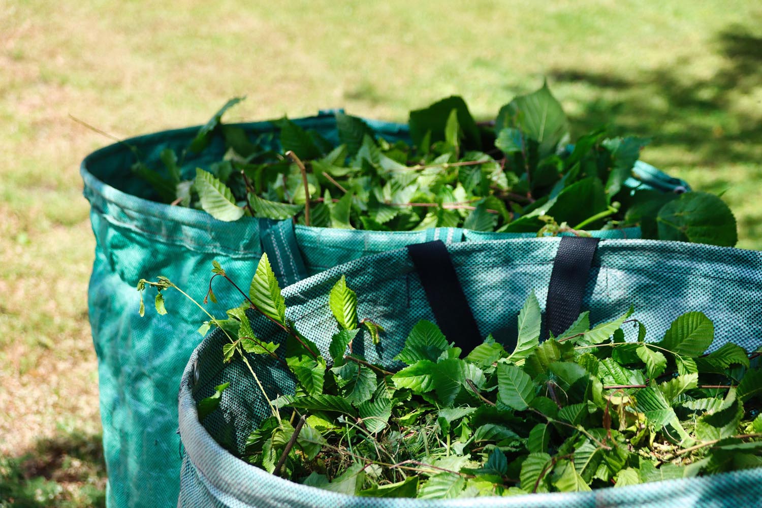 Grüngut Gartenabfälle AWB Birkenfeld